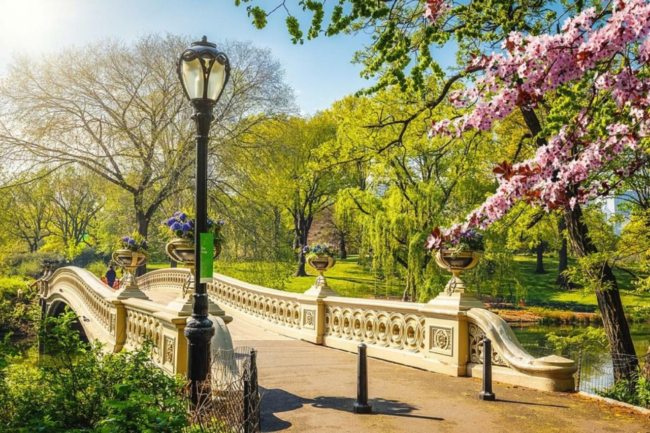 Frederick'S Place - Convenient Condo Walk To Central Park And Columbia University Νέα Υόρκη Εξωτερικό φωτογραφία